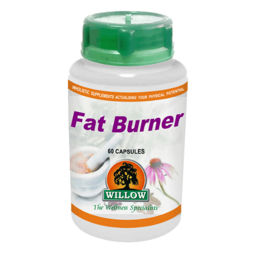 Willow Wellness Fat Burner 60s