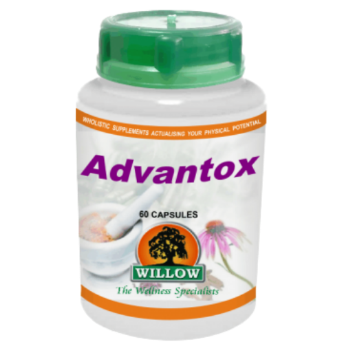 Willow Wellness Advantox 60's