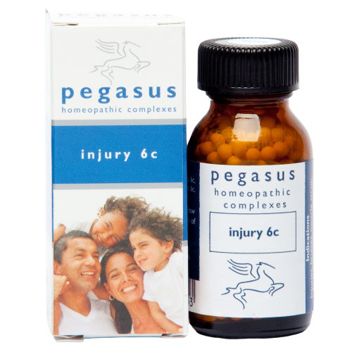 Pegasus Injury 6c