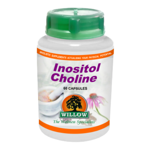 Willow Wellness Inositol-Choline 60s