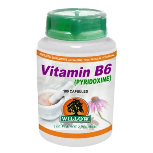 Willow Wellness Vitamin B6 100s
