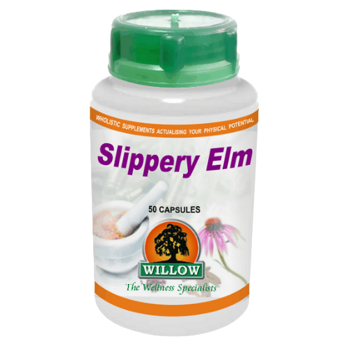 Willow Wellness Slippery Elm Capsules 100's